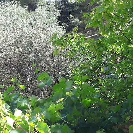 Bed and Breakfast Bastide Sainte Agnes Carpentras Exterior foto