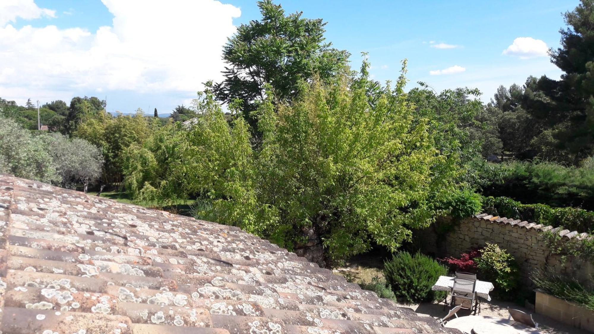 Bed and Breakfast Bastide Sainte Agnes Carpentras Exterior foto